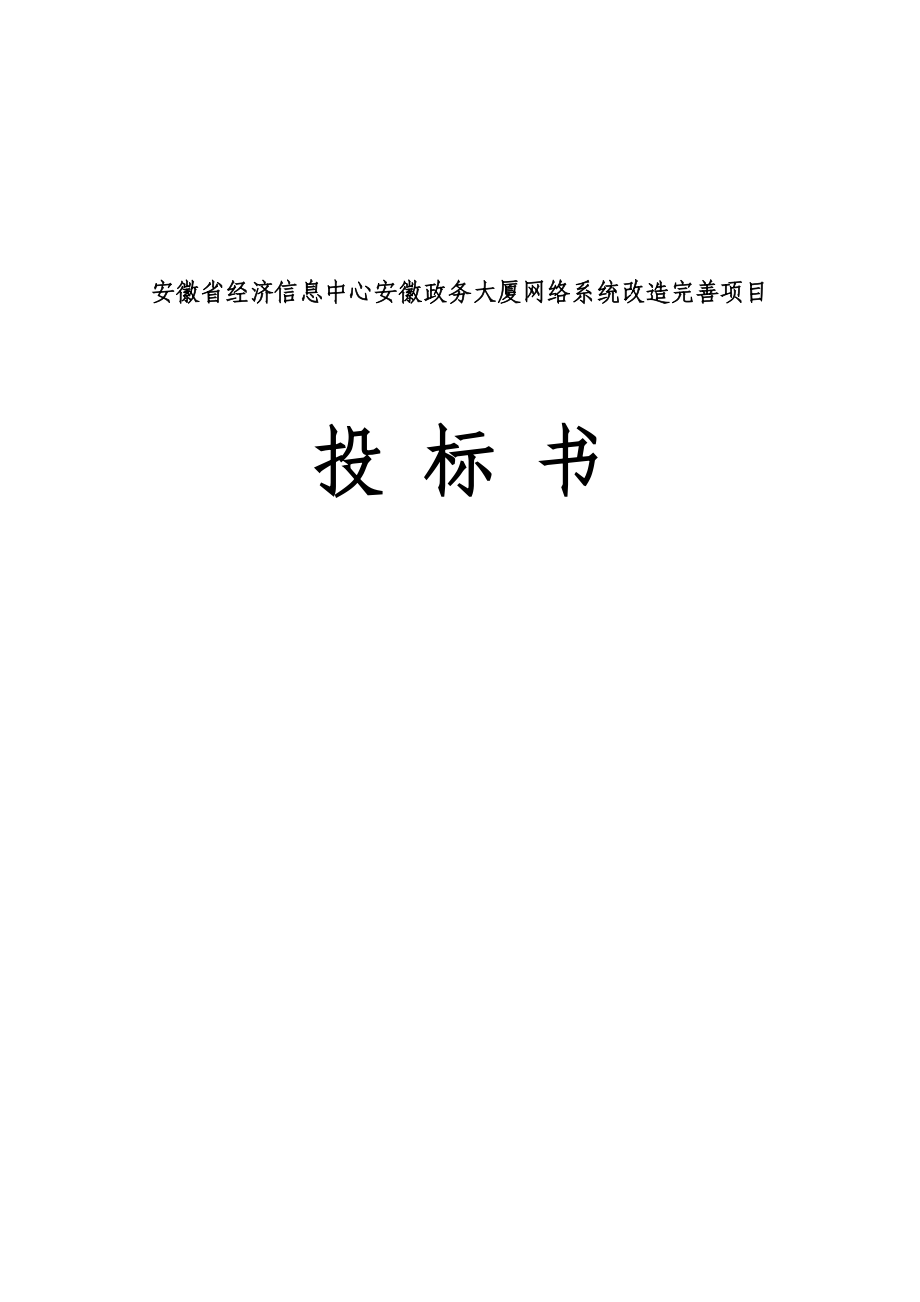 安徽省经济信息中心安徽政务大厦网络系统改造完善项目投标书.doc_第1页