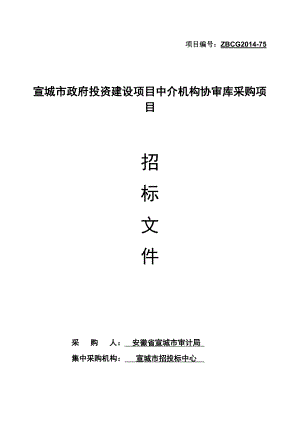 宣城市政府投资建设项目中介机构协审库采购项目招标文件.doc