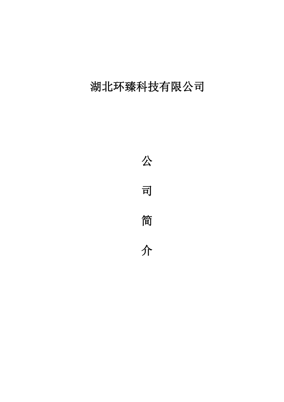 公司简历模版.doc_第1页