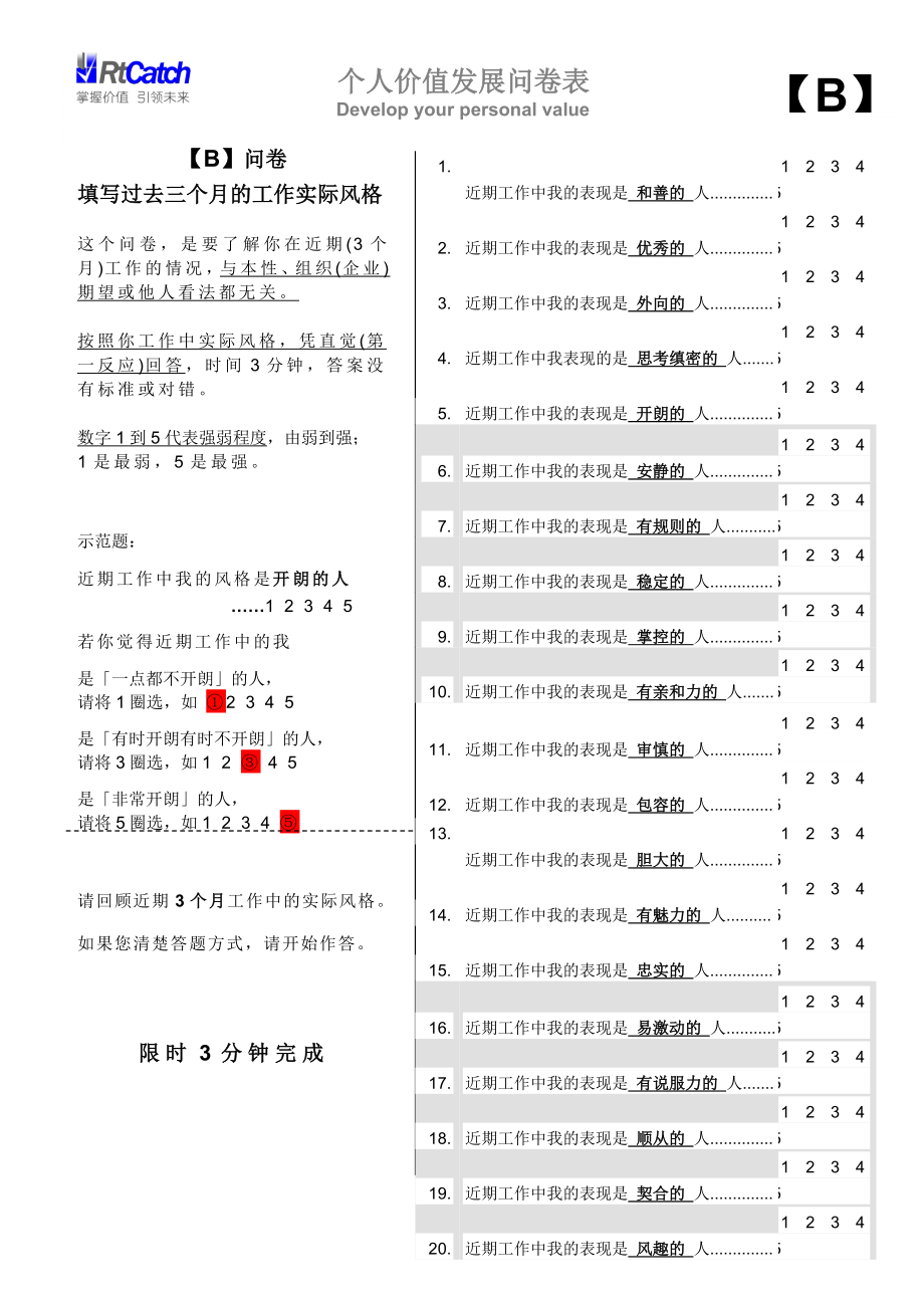 个人价值发展问卷表.doc_第3页