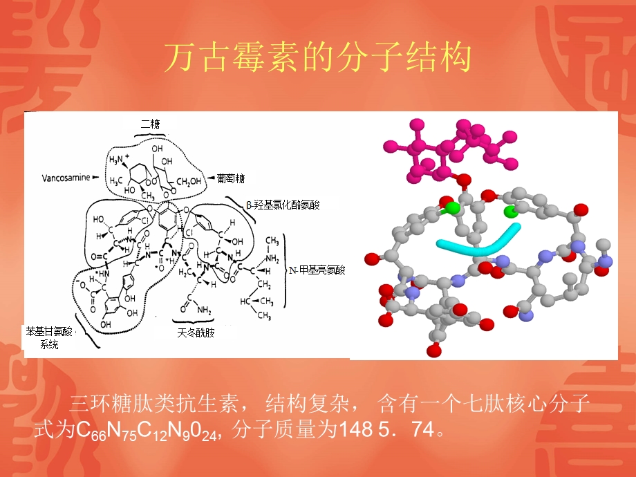 万古霉素的临床应用.ppt_第3页