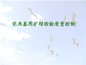 PCR质量控制.3.ppt