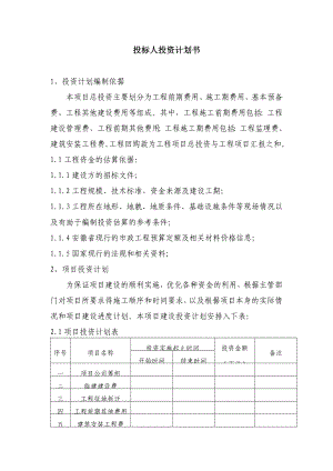 BT工程 投标人投资计划书.doc