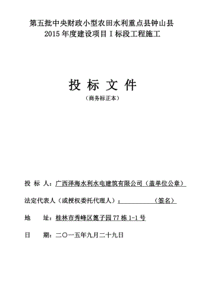 广西小型农田水利重点县建设项目投标文件.doc