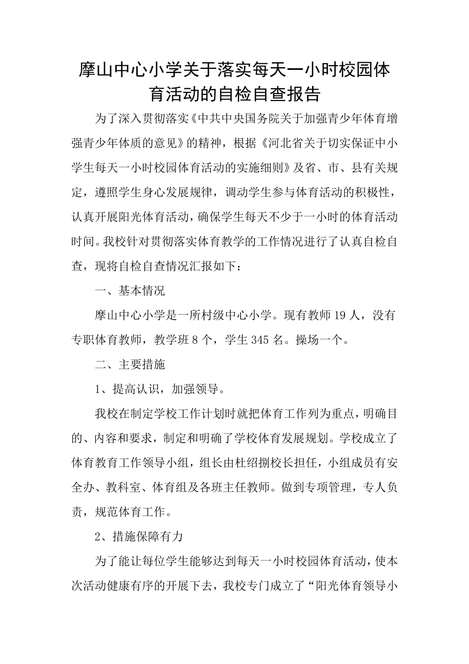 每天一小时校园体育活动的自检自查报告.doc_第1页