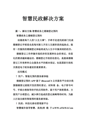 2134651886智慧民政解决方案.doc