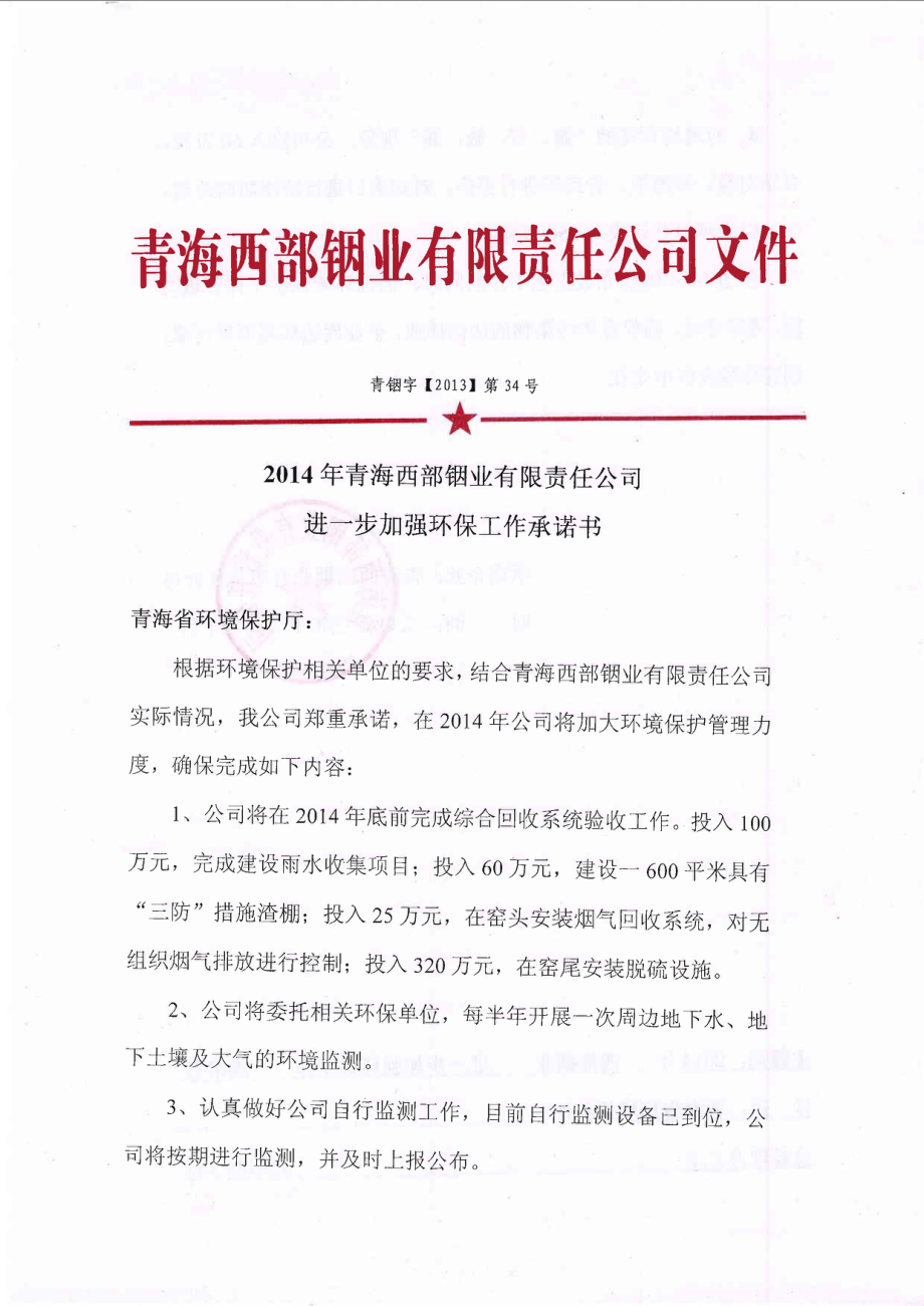 青海西部铟业有限责任公司相关环保问题整改承诺书.doc_第1页