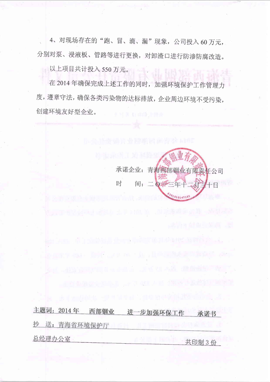 青海西部铟业有限责任公司相关环保问题整改承诺书.doc_第2页