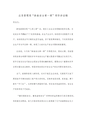 应急管理局“新春安全第一课”领导讲话稿.docx