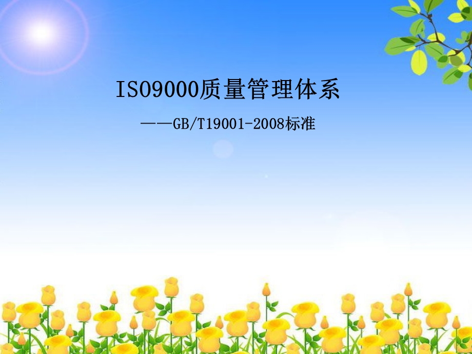 ISO9000质量管理体系标准.ppt_第1页