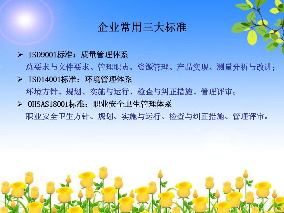 ISO9000质量管理体系标准.ppt_第3页