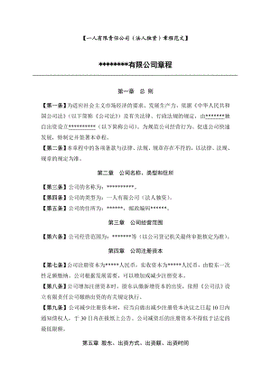 一人有限责任公司(法人独资)章程范文.doc