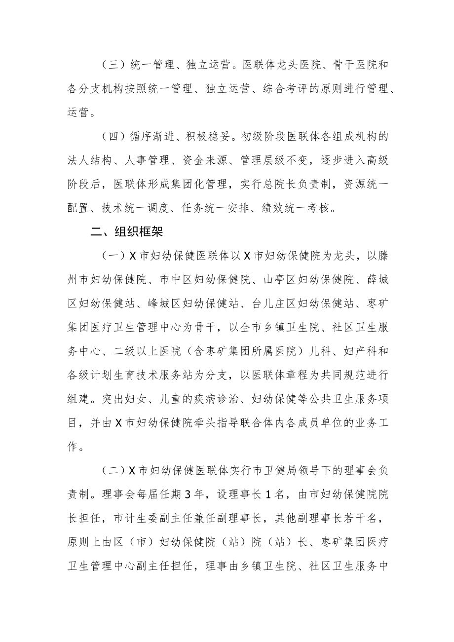 妇幼保健医疗健康服务集团医共体实施.docx_第2页