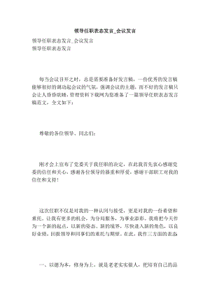 领导任职表态发言会议发言.doc