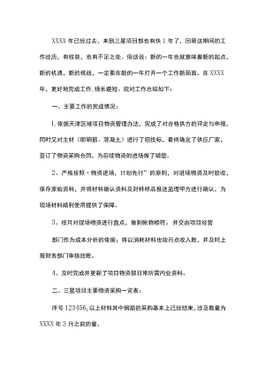 物资工作总结(物资部).docx