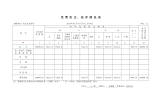 党费收支、 结存情况表.doc