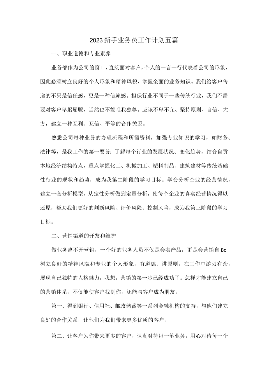 2023新手业务员工作计划五篇.docx_第1页