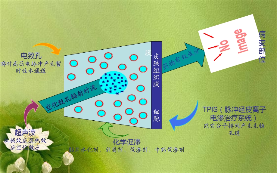 超声药物透入疗法对临床常见痛症的治疗课件.pptx_第2页