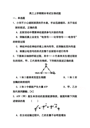 山东省滕州市第三中学高三上学期期末考试生物试题及答案.doc