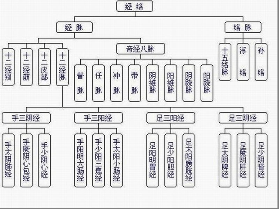 肺经及大肠经分解课件.ppt_第3页