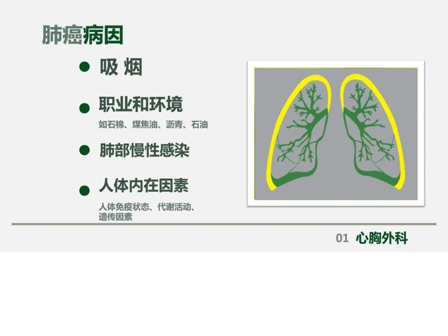 肺癌健康教育知识图文课件.ppt_第3页