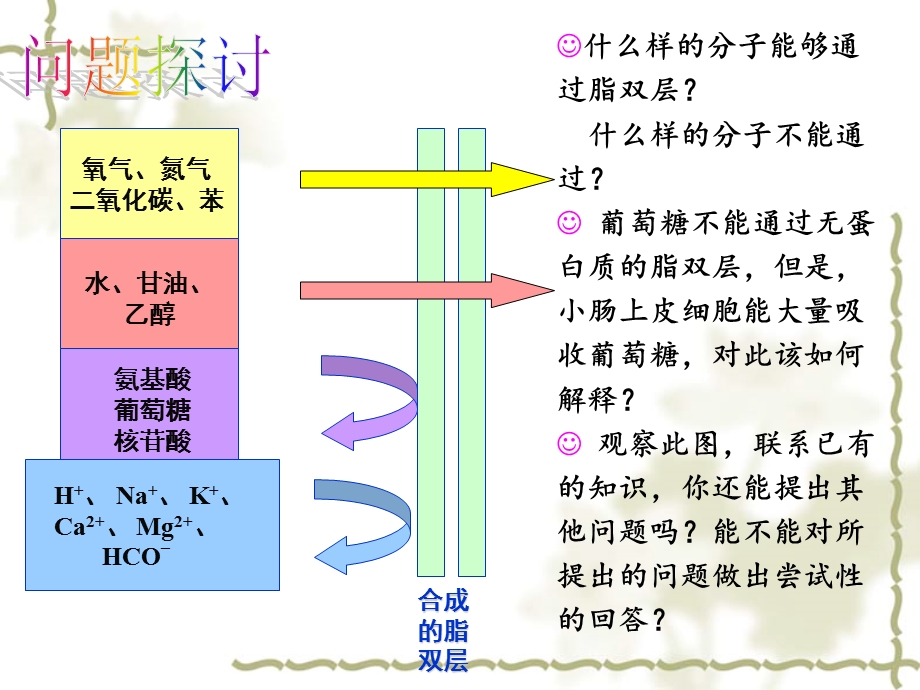 物质进出细胞的方式ppt-北师大版课件.ppt_第2页