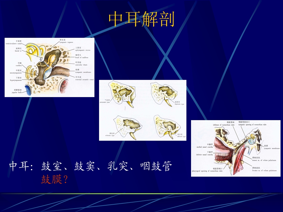 耳鼻咽喉-中耳炎性疾病课件.ppt_第2页