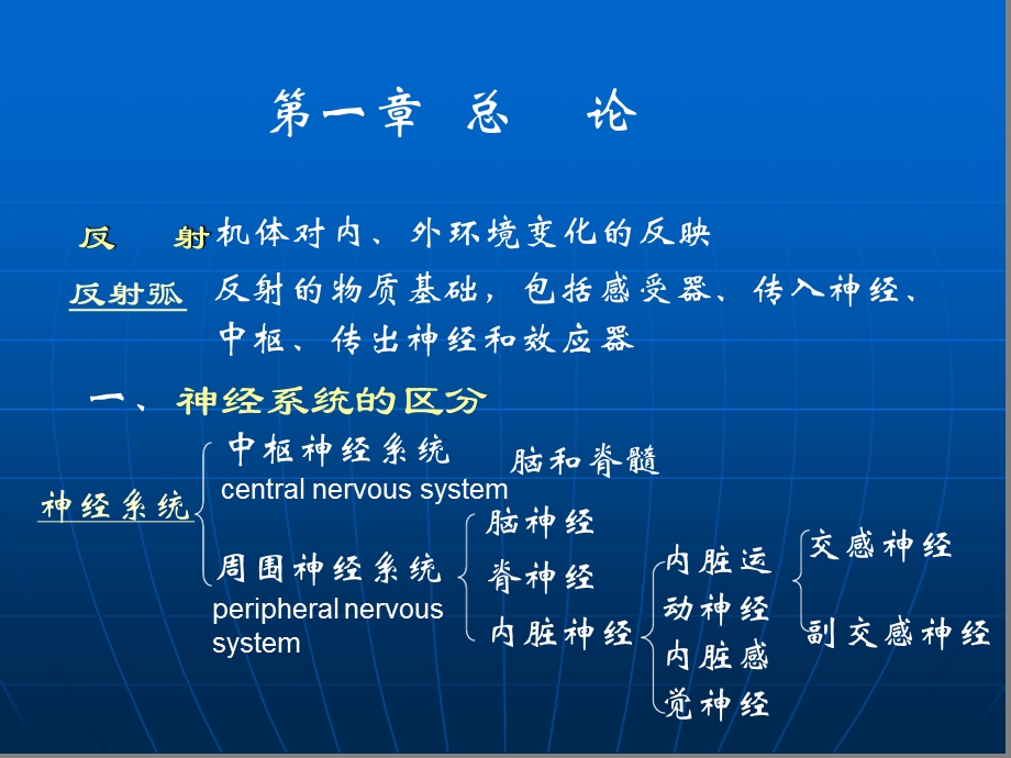 系统解剖学第六篇-神-经-系-统课件.ppt_第2页