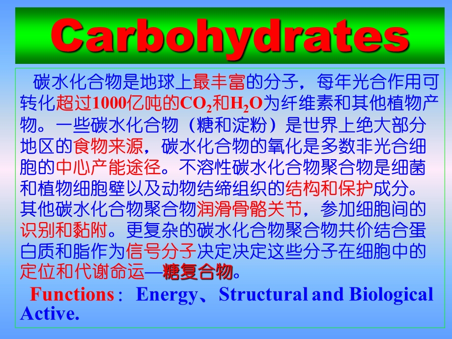 糖与糖生物化学课件.ppt_第2页