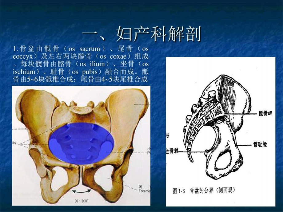 腹腔镜全子宫切除疑难病例讨论课件.ppt_第2页