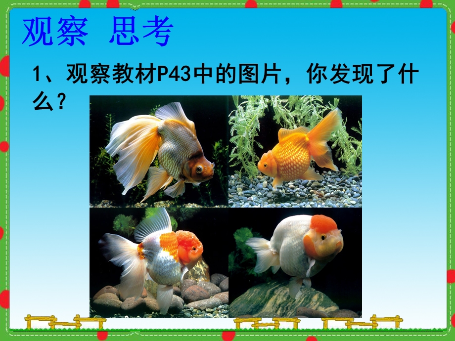 生物的变异课件人教版.ppt_第3页