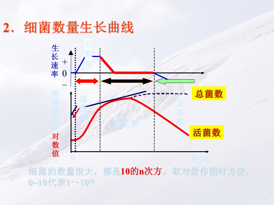 第六章-微生物的生长与控制2生长规律-课件.ppt_第2页