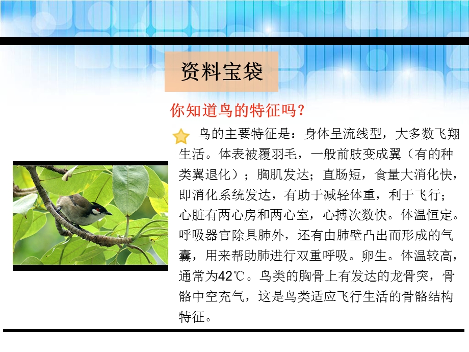 苏教版三年级语文第27课父亲、树林和鸟课件.ppt_第2页