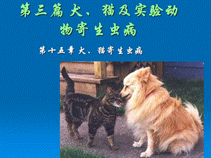 犬猫及试验动物寄生虫病课件.ppt