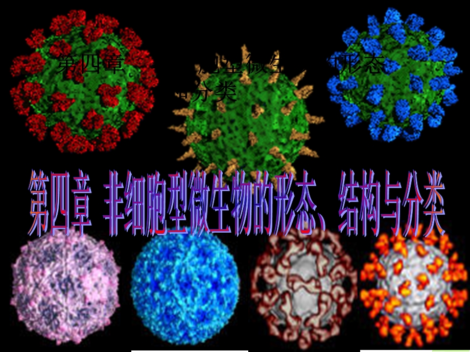 第四章非细胞型微生物的课件.ppt_第1页