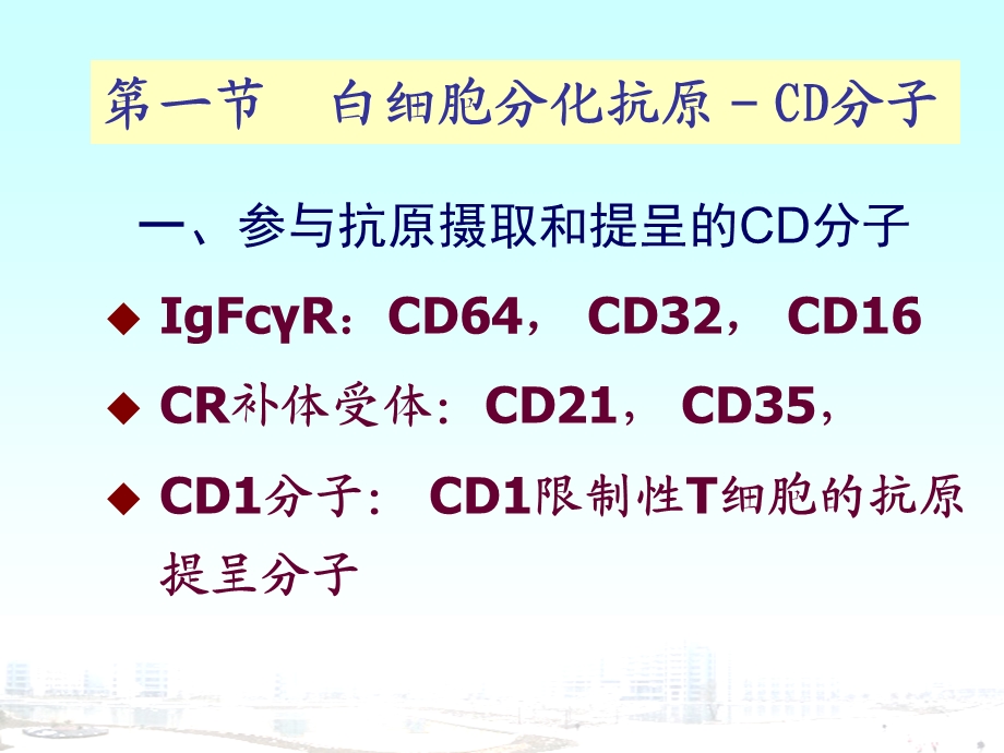 第5章-免疫细胞膜分子-课件.ppt_第3页