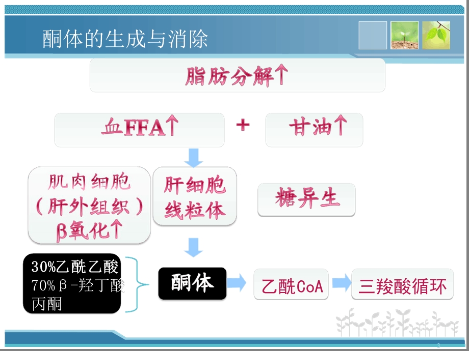 糖尿病酮症一例病例分析课件.ppt_第3页