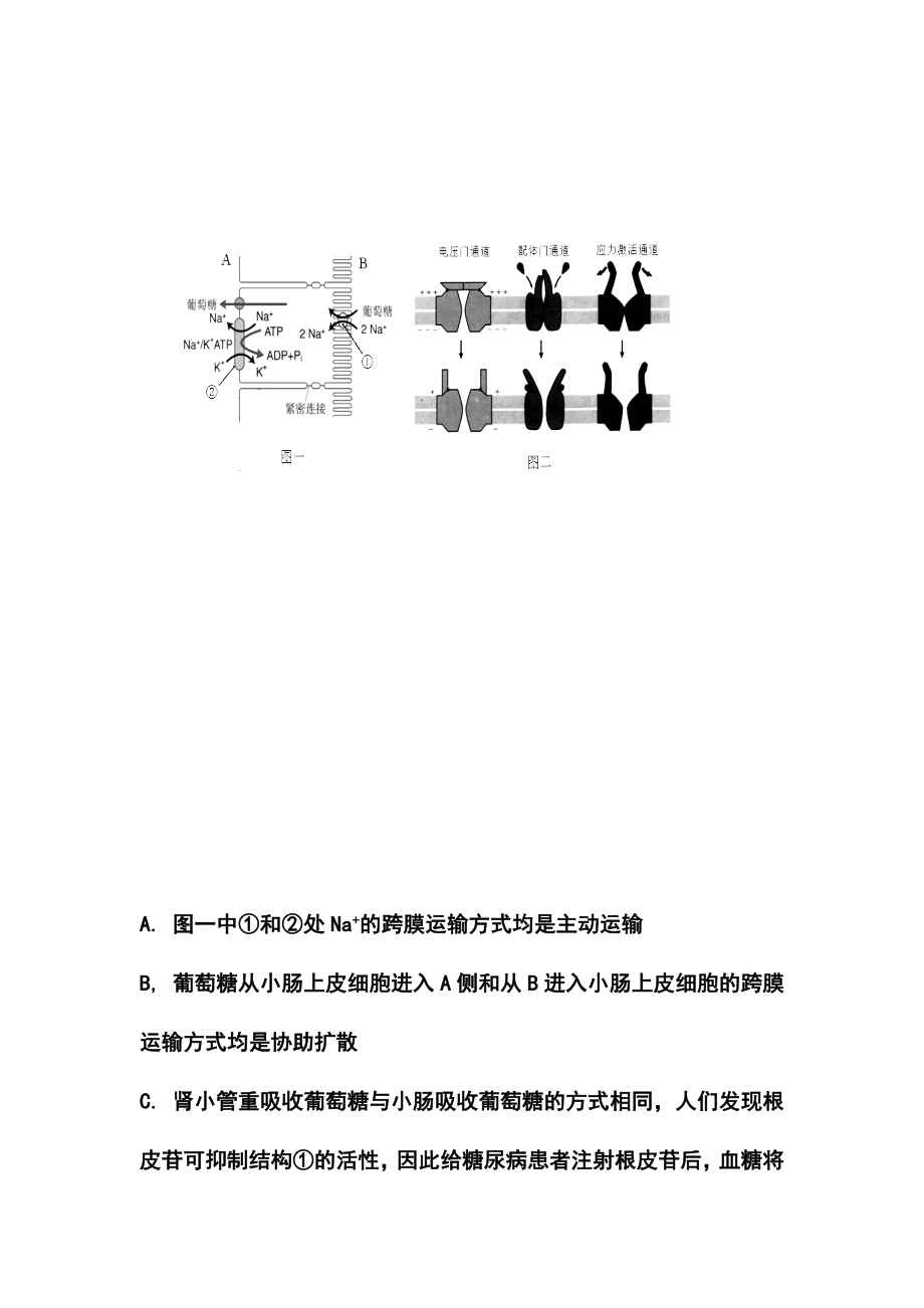 江西省南昌市教研室命制高三交流卷（十）理科综合试题及答案.doc_第3页