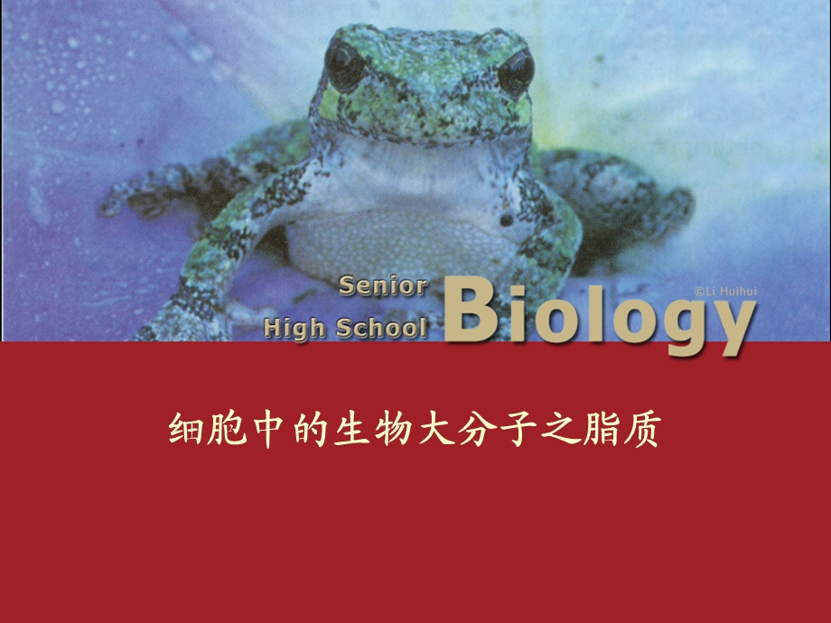 细胞中的生物大分子之脂质课件.ppt_第1页