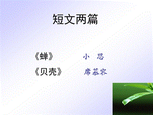 短文两篇·蝉·贝壳-人教版课件.ppt