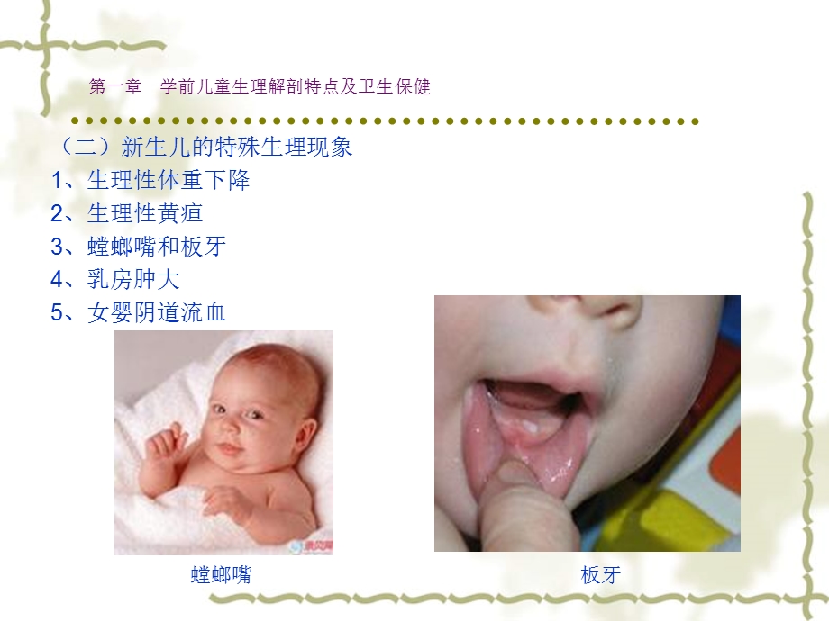 第一章学前儿童生理解剖特点及卫生保健课件.ppt_第3页