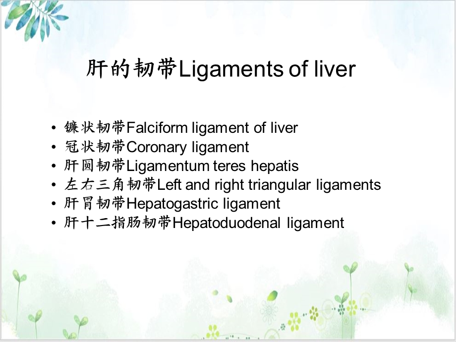 肝脏镰状韧带旁假病灶的CT表现培训课程课件.ppt_第3页