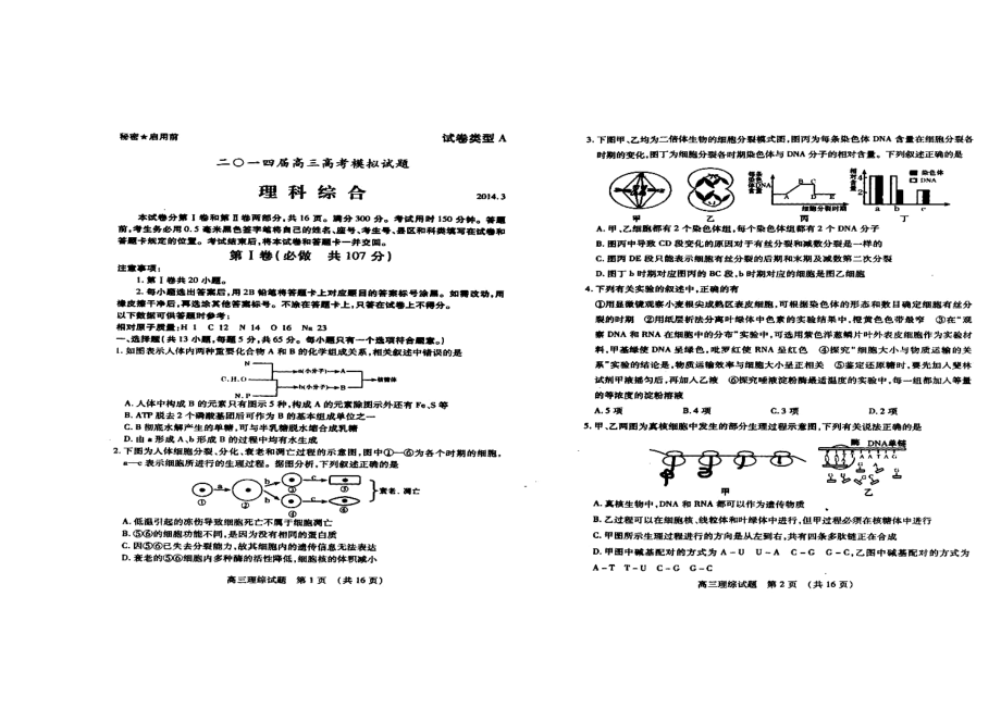 山东省枣庄市高三3月调研考试理科综合试题及答案.doc_第1页