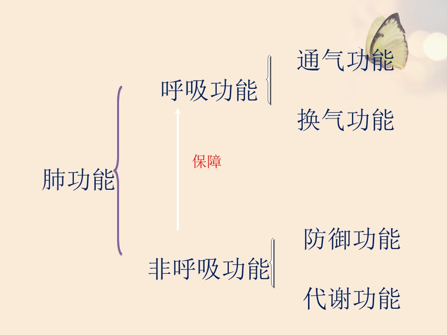 肺功能检查的操作流程、目的及注意事项-7月课件.pptx_第3页