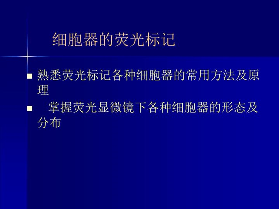 荧光显示细胞器和细胞凋亡课件.ppt_第2页