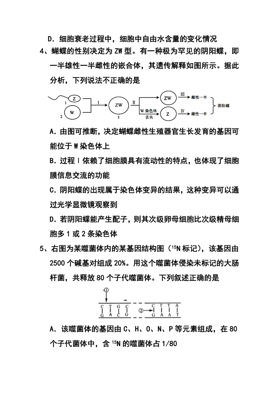 四川省乐山市高三一调模拟生物试题及答案.doc_第2页