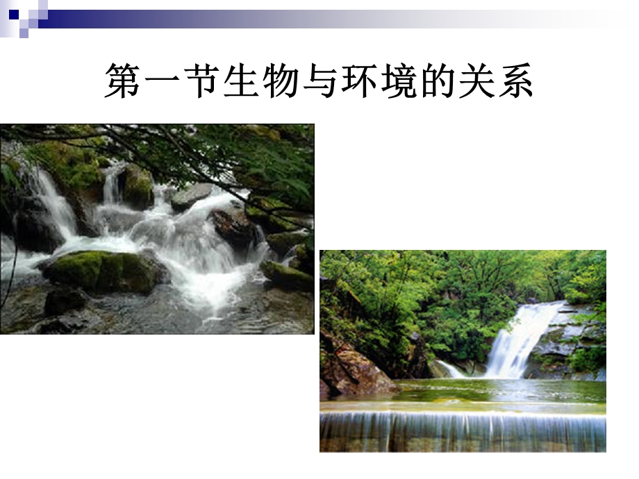 生物与环境的关系课件--苏教版.ppt_第3页