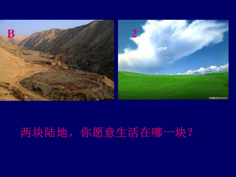 生物的生活环境-课件-济南版.ppt_第2页