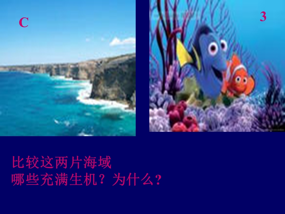 生物的生活环境-课件-济南版.ppt_第3页