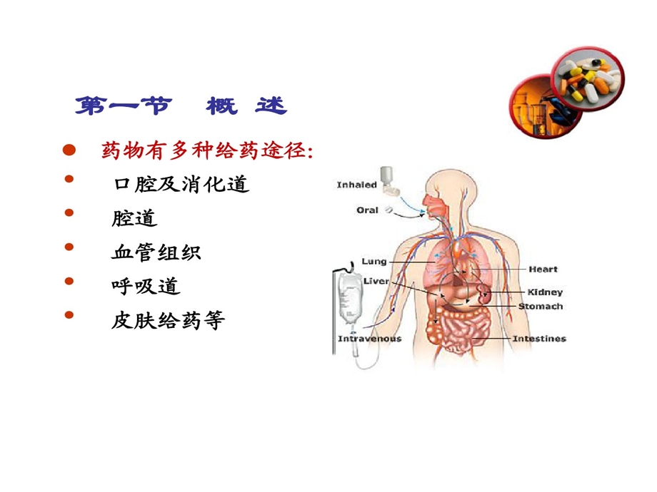 药剂学药物制剂的设计课件.ppt_第3页